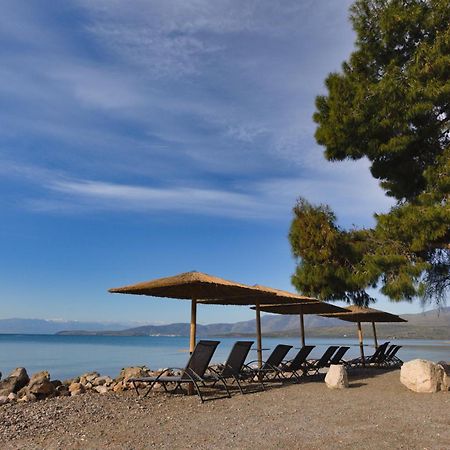 Kalafatis Beach Home อิเตอา ภายนอก รูปภาพ
