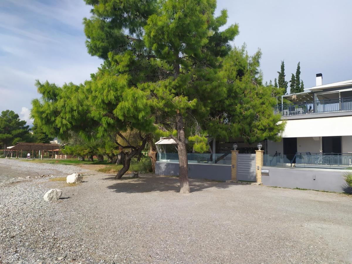 Kalafatis Beach Home อิเตอา ภายนอก รูปภาพ